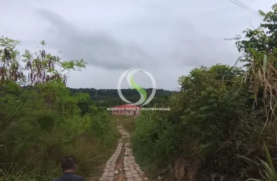 Terreno à venda na Avenida Cosme Ferreira, 224, Zumbi dos Palmares, Manaus