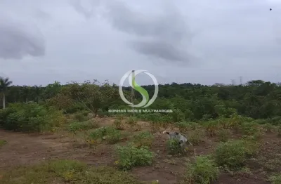 Terreno à venda na Avenida Cosme Ferreira, 224, Zumbi dos Palmares, Manaus