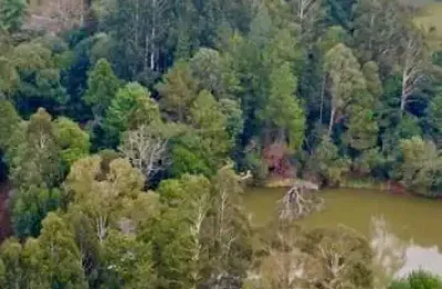 Fazenda à venda, 43700 m² por r$ 1.000.000,00 - morro alto - guarapuava/pr