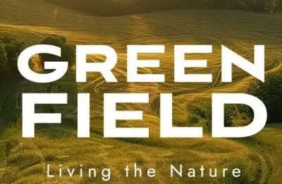 Terreno à venda em gravataí, santa cruz, com 250 m², green field