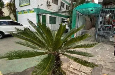 Apartamento à venda em cachoeirinha, ponta porã, com 1 quarto, com 32 m²