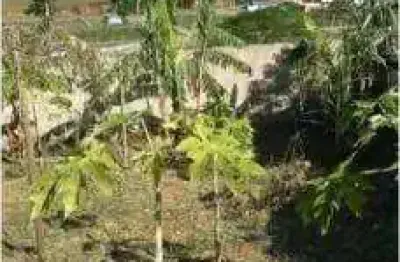 Terreno à venda no Horto, Macaé 