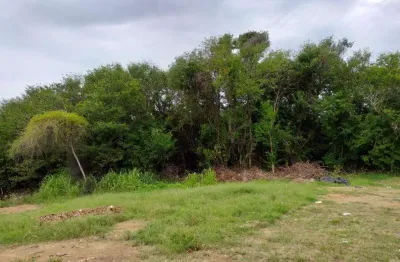 Terreno, 2050 m² - venda por r$ 1.700.000,00 ou aluguel por r$ 17.152,17/mês - novo cavaleiro - macaé/rj