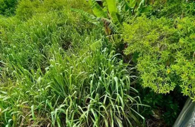 Terreno à venda, 360 m² por r$ 385.000,00 - jardim bela vista - rio das ostras/rj