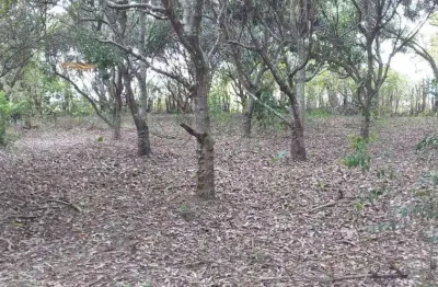 Atlântica imóveis tem excelente terreno à venda, 4940 m² - imburo - macaé/rj.