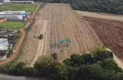 Terreno à venda na Rua Josefina Padovan, n/a, Parque Industrial Buena Vista, Londrina