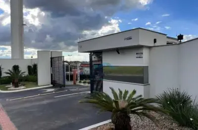 Apartamento com 2 quartos para alugar na Rua Luiz Vieira Sagrilo, 55, Jardim São Paulo II, Londrina