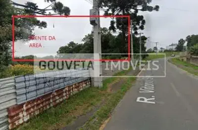 Área com 10.000 m², à venda por r$ 5.000.000 - barigui, araucária (pr) - zi-1