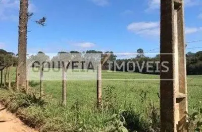 Área com 53.240 m², à venda por r$ 5.473.600 - vila susi, piraquara (pr)
