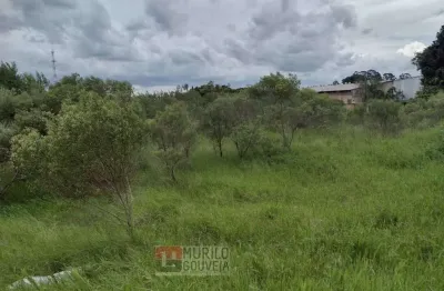 Terreno com 15.000 m², à venda por r$ 11.200.000 - eucaliptos, fazenda rio grande (pr)