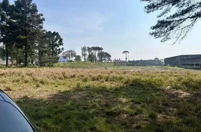 Barracão com 5.000 m², aluguel de r$ 100.000 + taxas - alphaville graciosa, pinhais (pr)