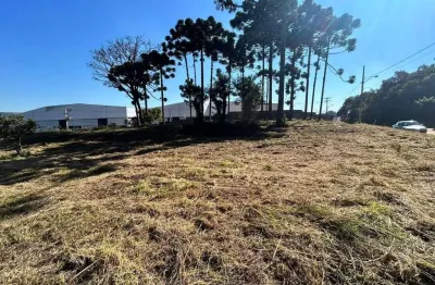Área com 51.000 m², à venda por r$ 15.000.000 - aruja, são josé dos pinhais (pr) - zis-1