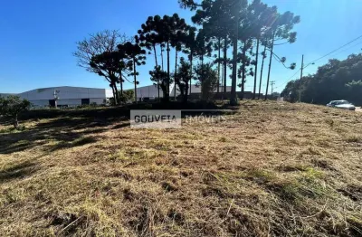 Área com 51.000 m², à venda por r$ 15.000.000 - aruja, são josé dos pinhais (pr) - zis-1