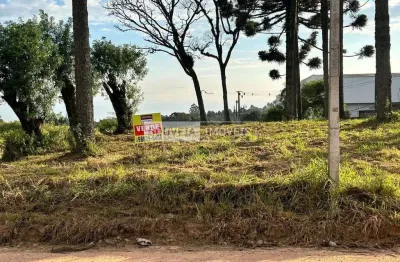 Área com 51.000 m², à venda por r$ 15.000.000 - aruja, são josé dos pinhais (pr) - zis-1