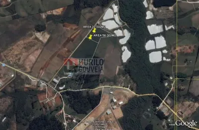 Área com 20.000 m², à venda por r$ 5.000.000 - eucaliptos, fazenda rio grande (pr)