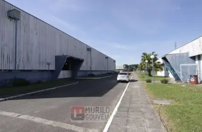Área com 1000 m², aluguel de r$ 4.000 + taxas - afonso pena, são josé dos pinhais (pr)