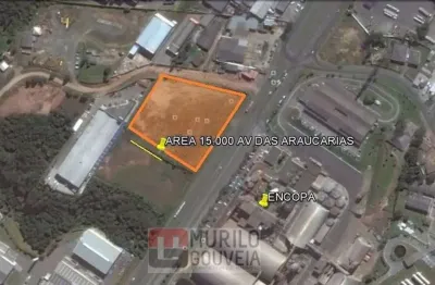 Área comercial com 15.000 m², à venda por r$ 13.500.000 - chapada, araucária (pr) - zs-1