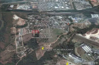 Área com 15.305 m², à venda por r$ 5.356.750 - thomaz coelho, araucária (pr) - zi