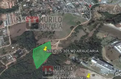 Terreno com 15.305 m², à venda por r$ 5.356.750 - thomaz coelho, araucária (pr) - zi