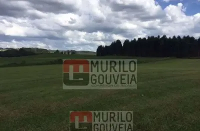 Área com 58.000 m², à venda por r$ 14.000.000 - eucaliptos, fazenda rio grande (pr)