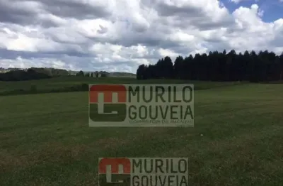 Área com 58.000 m², à venda por r$ 14.000.000 - eucaliptos, fazenda rio grande (pr)