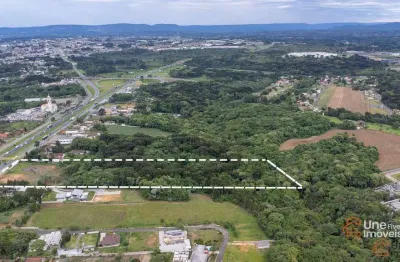Terreno comercial à venda na Rodovia BR-277 Curitiba Ponta Grossa, 9999, Rondinha, Campo Largo