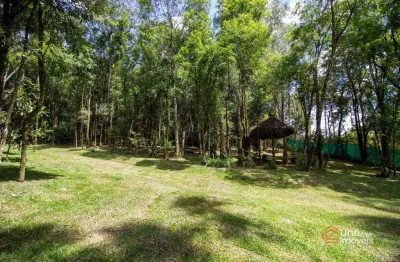 Chácara à venda, 20 m² por r$ 690.000,00 - popular nova - campo largo/pr