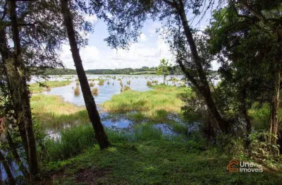 Chácara à venda, 20 m² por r$ 690.000,00 - popular nova - campo largo/pr