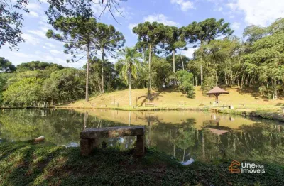 Chácara com 4 dormitórios à venda, 45 m² por r$ 3.495.000,00 - campo do meio - campo largo/pr