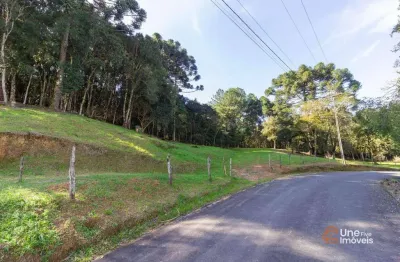 Terreno amplo para chácara - 3.799 m² de liberdade e conforto