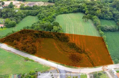 Terreno à venda, 11071 m² por R$ 1.540.000,00 - Salgadinho - Campo Largo/PR