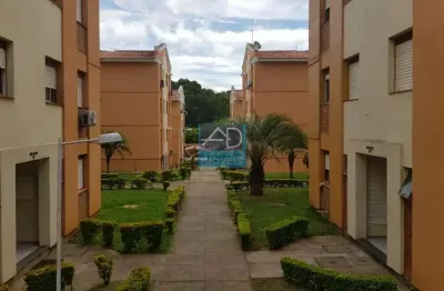 Apartamento para venda  no bairro passo das pedras em gravataí