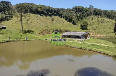 Chácara / sítio à venda no matulão, tijucas do sul  por r$ 550.000