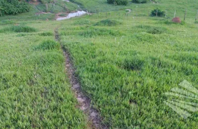 Terreno à venda no Adélia Afonso, Taubaté 