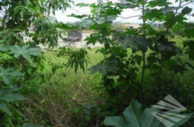 Terreno residencial à venda, quinta das frutas, taubaté.