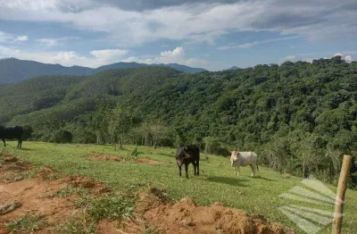Terreno à venda, 20.094,07m² - poço grande - tremembé/sp