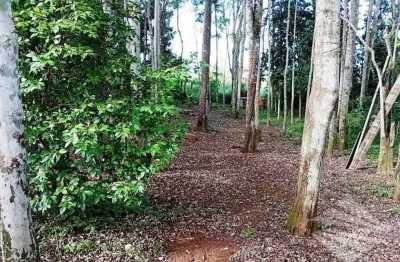 Terreno com construção à venda, 165m² - barreiro - taubaté/sp