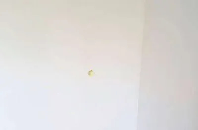 Apartamento com 2 dormitórios à venda, 60 m² - vila nossa senhora das graças - taubaté/sp