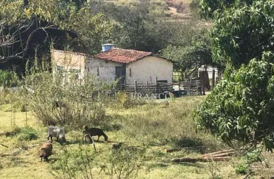Terreno à venda na Rodovia Floriano Rodrigues Pinheiro, Quiririm, Taubaté