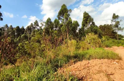 Ponto comercial à venda na Avenida João Casarotto, 2200, Laranjeiras, Caieiras