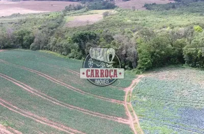 Chácara / sítio com 1 quarto à venda na wadislau furman, guajuvira, araucária por r$ 500.000