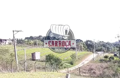 Chácara / sítio com 1 quarto à venda na estrada joão woijck, rio do cacho, contenda, 1 m2 por r$ 120.000