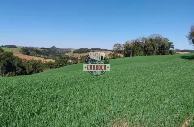 Fazenda à venda na 511, catanduvas do sul, contenda, 300 m2 por r$ 5.500.000