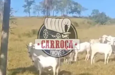 Fazenda à venda na parana, centro, pinhalão por r$ 5.000.000