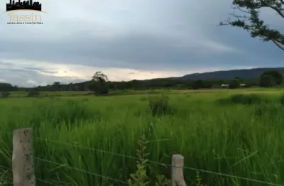 Fazenda espetacular à venda em nossa senhora do livramento-mt: 975,89 hectares com georeferenciamento