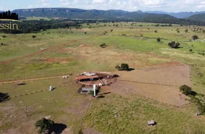 Fazenda à venda na Rio Arica Mirim, Zona Rural, Cuiabá