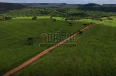 Fazenda à venda na Zona Rural, São João da Ponte 