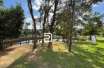 Sítio com 2 dormitórios à venda, 605000 m² por r$ 7.500.000,00 - santa olímpia - piracicaba/sp