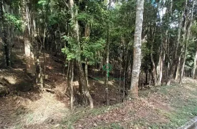 Terreno à venda, 10846 m² por r$ 440.000,00 - albuquerque - teresópolis/rj