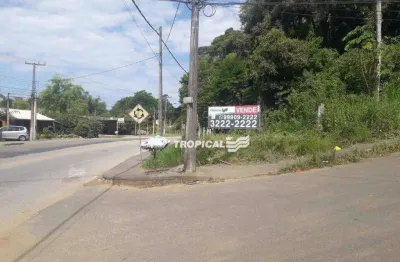 Terreno à venda, 1998 m² por r$ 1.200.000,00 - salto weissbach - blumenau/sc